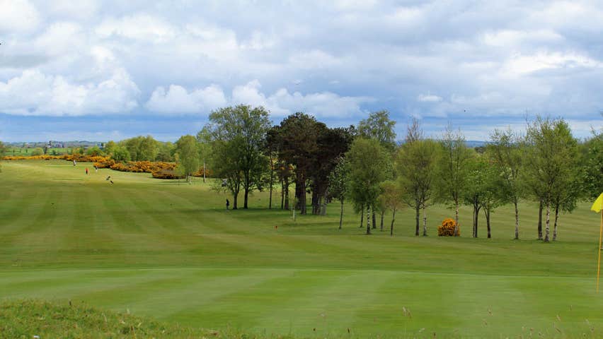 The fairway with trees in and blooming yellow gorse bushes in the background