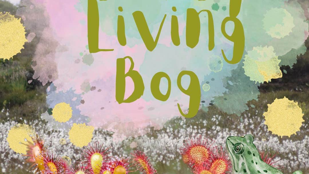 Wonderful Walking Wednesdays