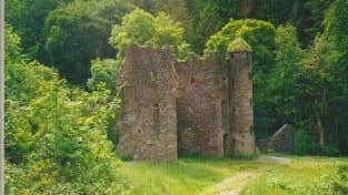 Carey's Castle
