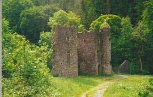 Carey's Castle, Clonmel, Tipperary