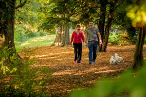 Walking at the Castlecomer Discovery Park