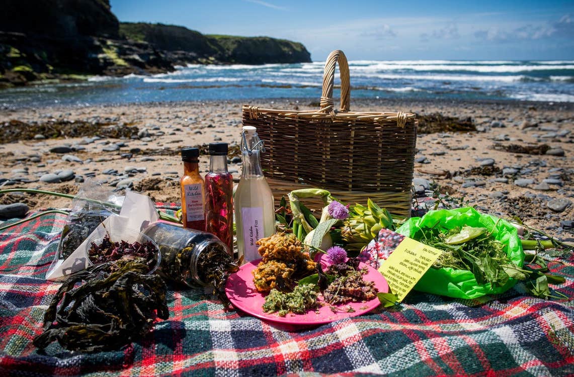 Picnic blanket on a beach with a display of foraged edible coastal plants