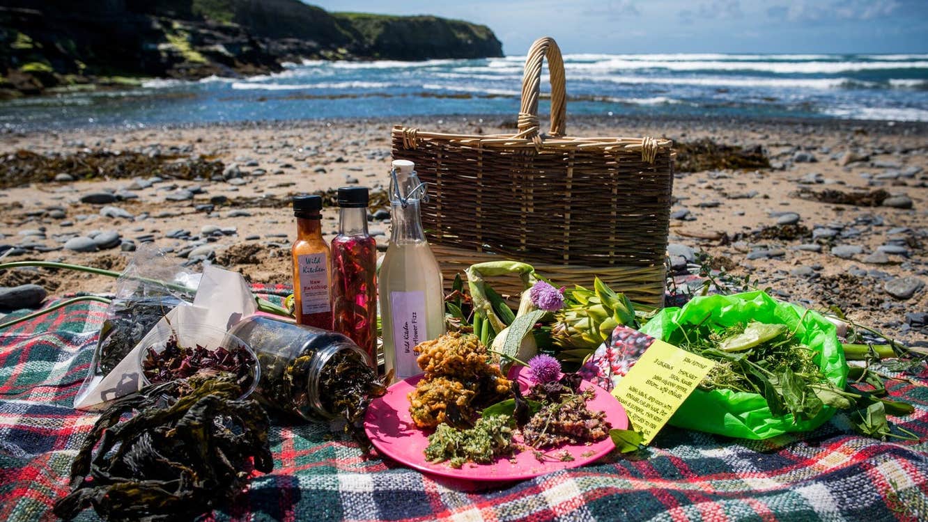 Picnic blanket on a beach with a display of foraged edible coastal plants