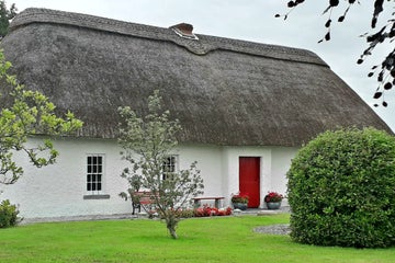 Image of Callan