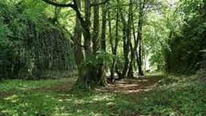 The Glen, Strandhill