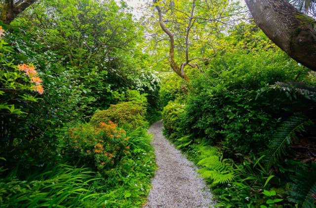 Mount Usher Gardens, Ashford, Wicklow