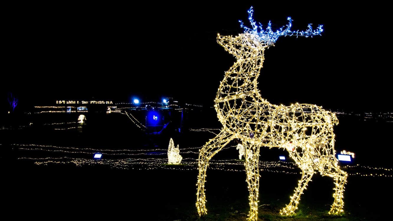 Adventure Lights at Skypark 2025, at night a large figure of a stag is lit up in yellow lights with blue antlers