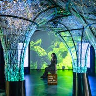 Person sitting in the middle of a room surrounded by green and blue lights