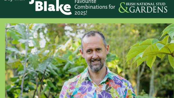 A smiling man in colourful, flowery shirt is surrounded by green plants.