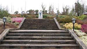 Outdoor stairs at O'Carolan Heritage Park