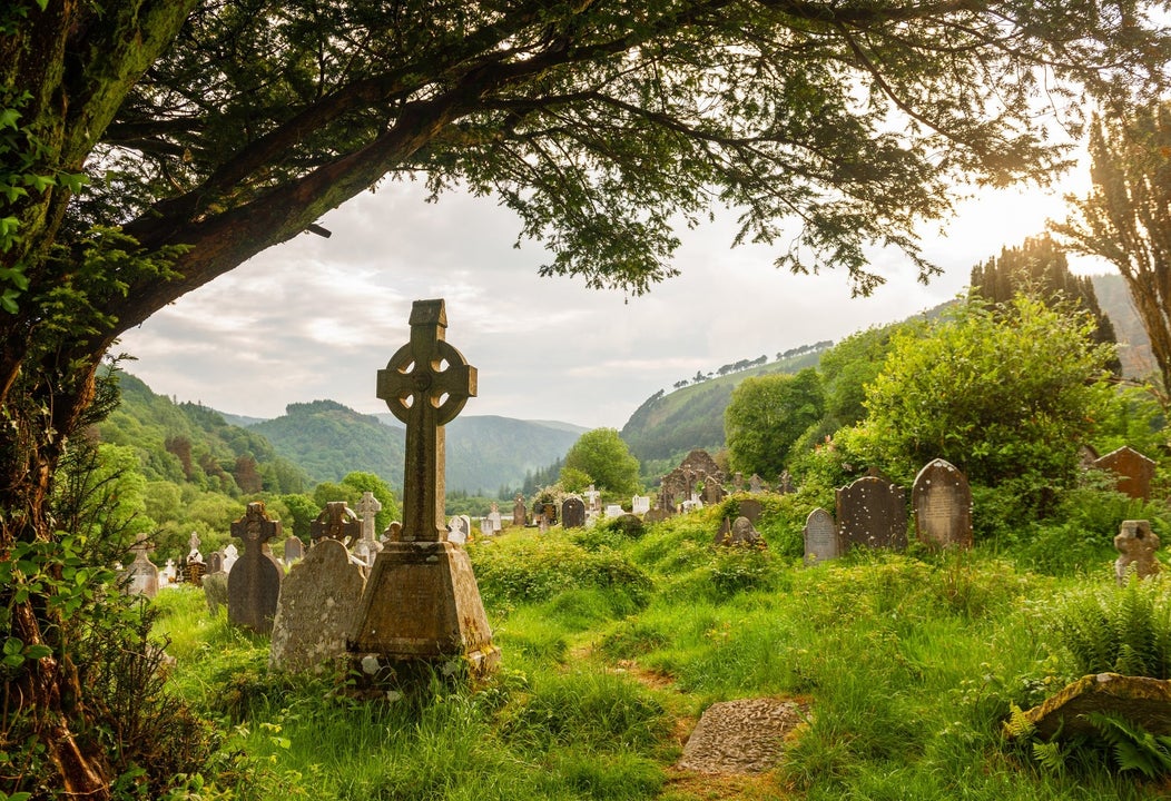 A high cross under a tree in a cemetery