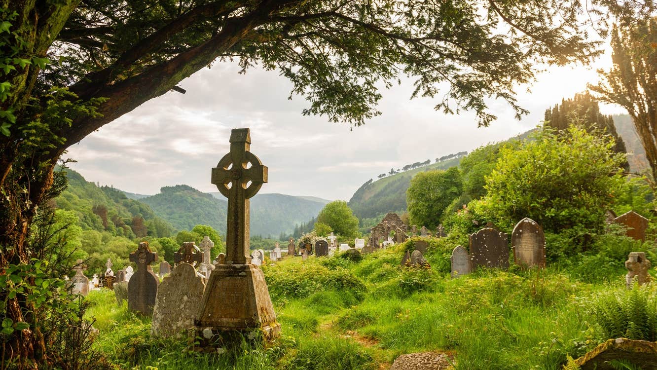 A high cross under a tree in a cemetery