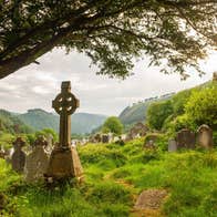 A high cross under a tree in a cemetery