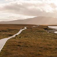 A boardwalk through bogland with a mountain in the distance.