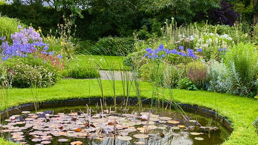 Pond with lily pads and reeds at Fruitlawn Garden