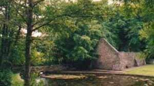 St Patricks Well, Clonmel