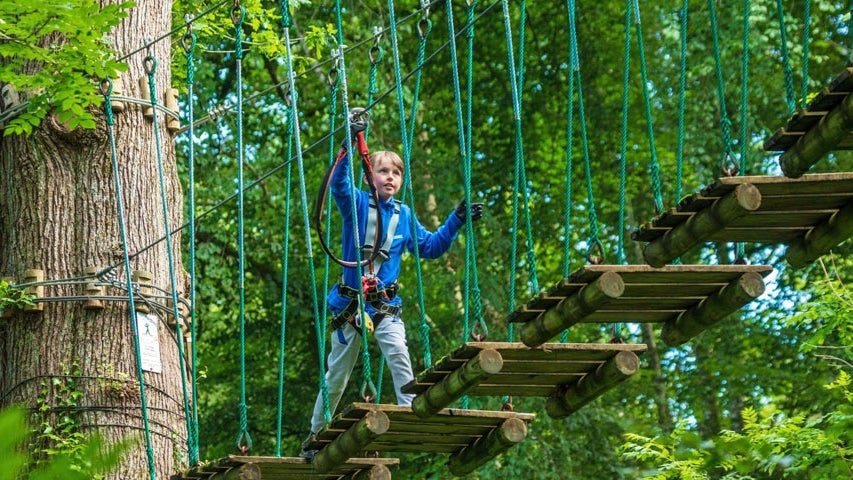 A young boy at the start of a rope bridge high in the treetops