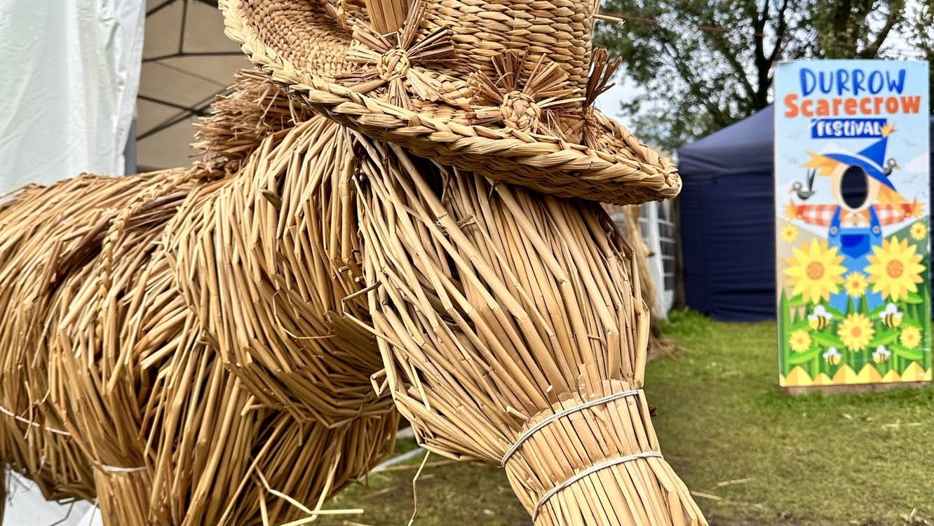 Donkey made from Rush, crafted by Gerardine Wisdom, Rush Workshops.