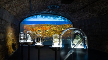 Five glass cases on display in a stone vaulted room with a background image projected on rear wall