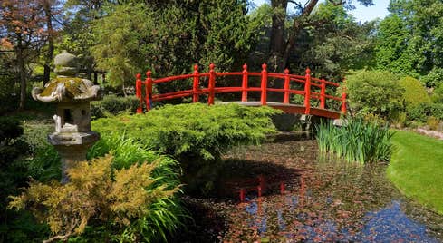 A red bridge crossing water in the Japanese Gardens in Kildare