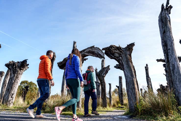 People walking through Lough Boora Discovery Park in County Offaly