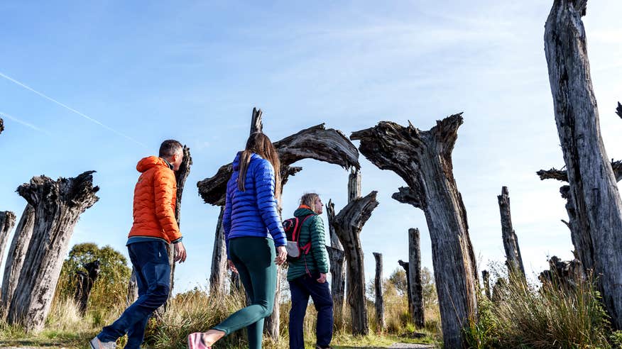 People walking through Lough Boora Discovery Park in County Offaly