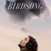 Image of Natureboy: The Journey of Birdsong and Belonging with Seán Ronayne