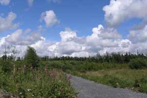 Rathwood Forest Walks
