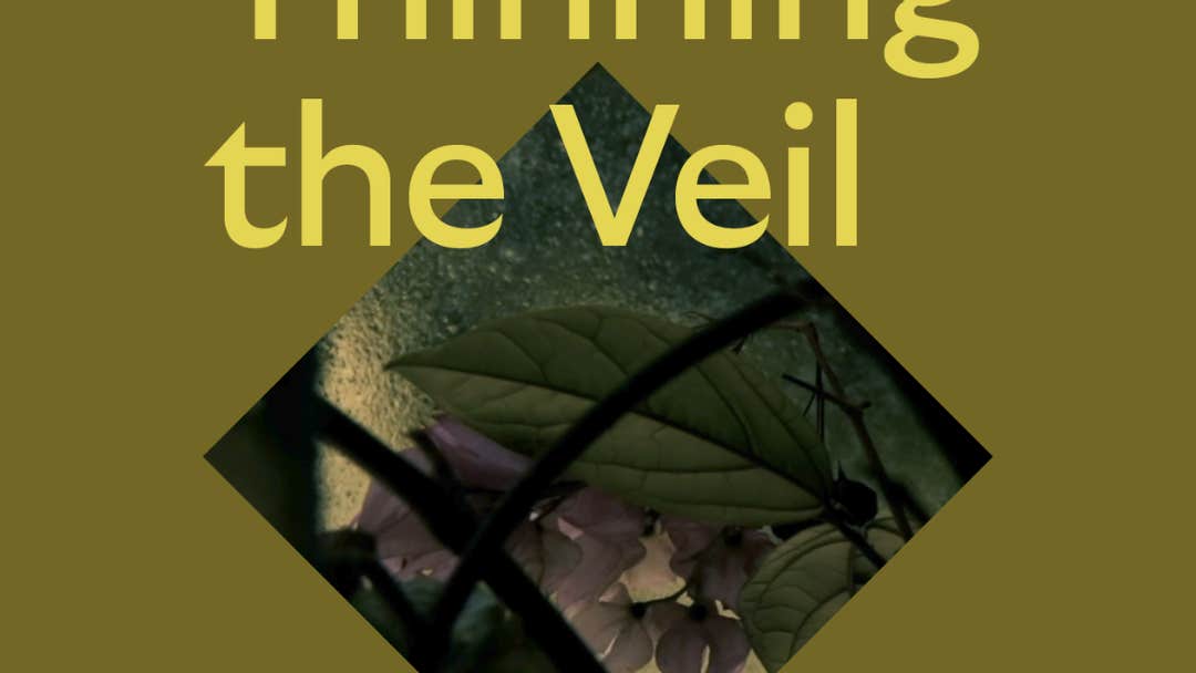 Thinning the veil event image