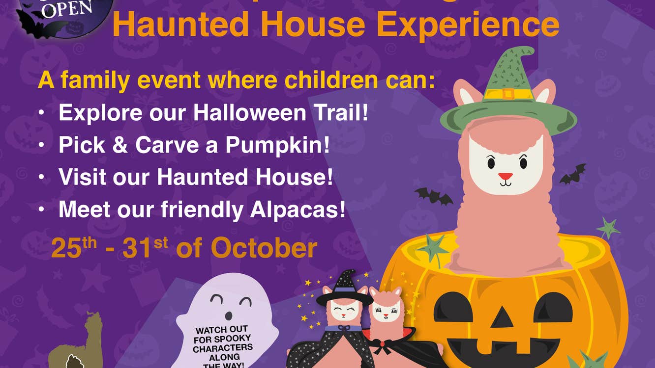Poster for Pumpkin Carving & Haunted House Experience