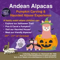 Poster for Pumpkin Carving & Haunted House Experience