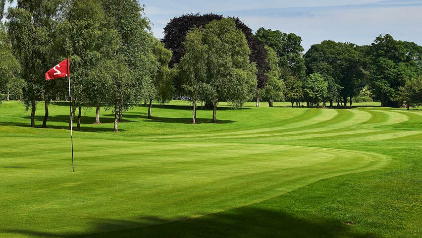 A golf course with trees