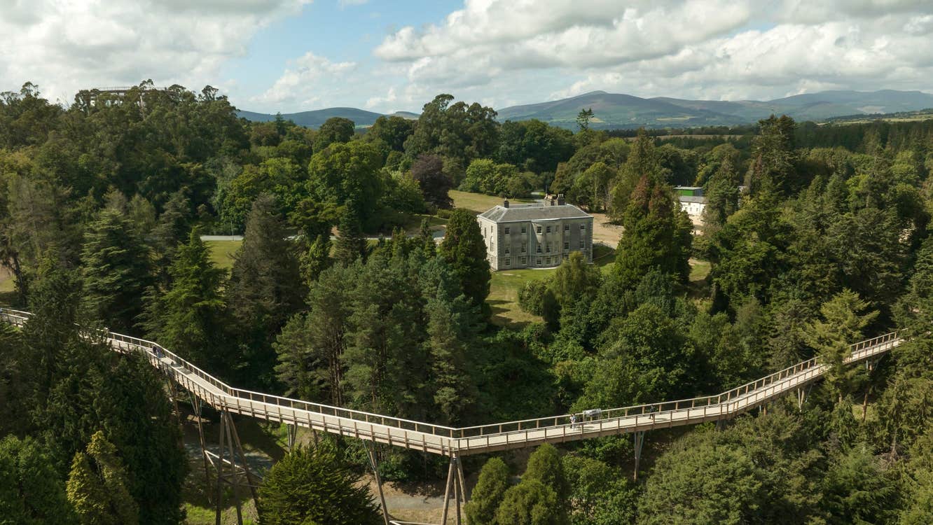 An aerial view of the treetop walkway with Avondale House in the background