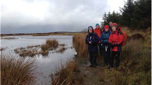 Ashford to Broadford Way