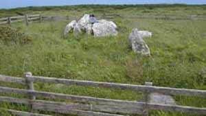 Ballynamona Court Cairn