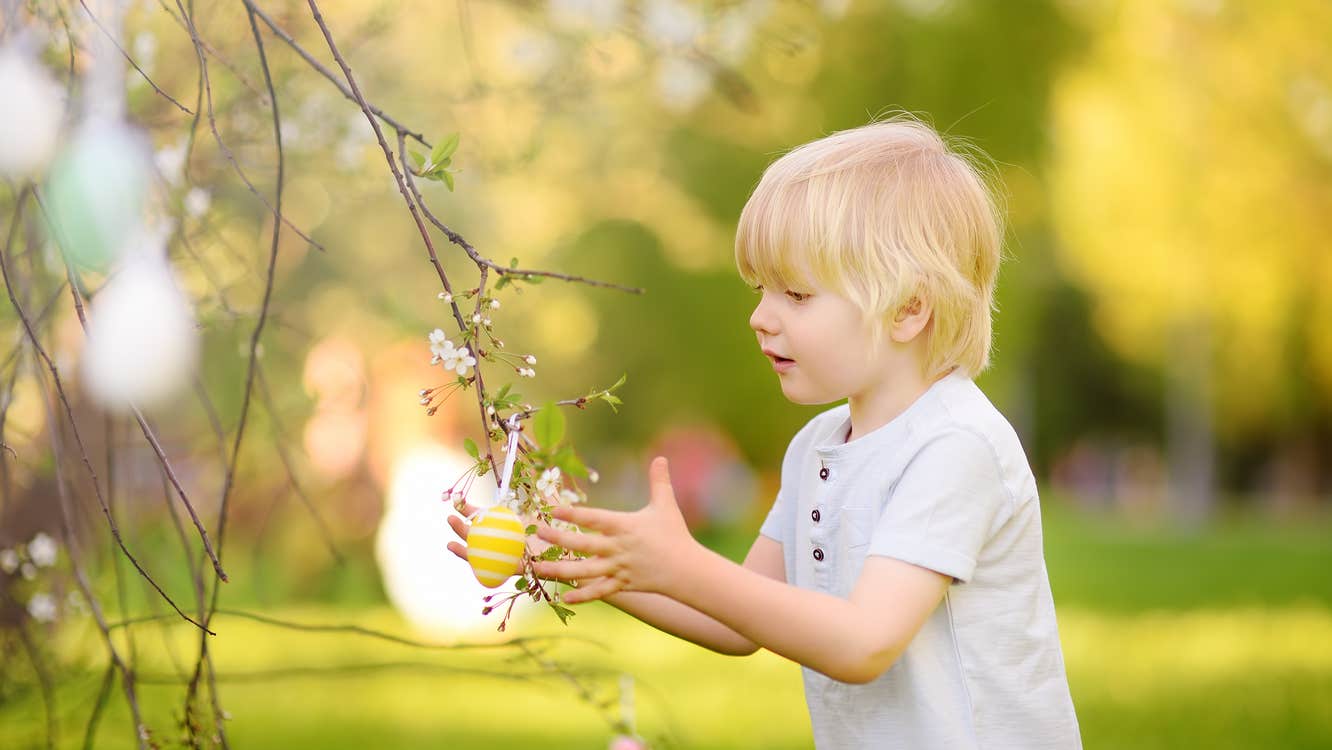 Boy looking at Egg hanging on Cherry Blossom Tree