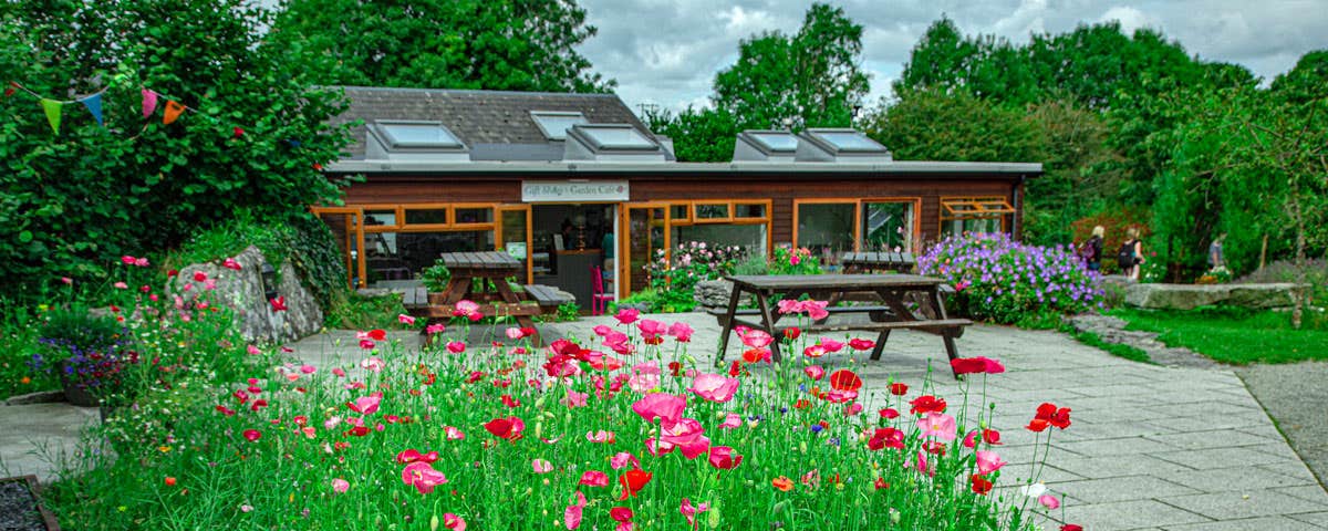 The gift shop and cafe at Brigits Garden with blossoming red flowers in foreground