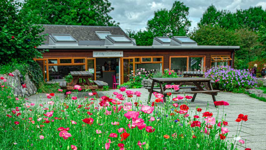 The gift shop and cafe at Brigits Garden with blossoming red flowers in foreground