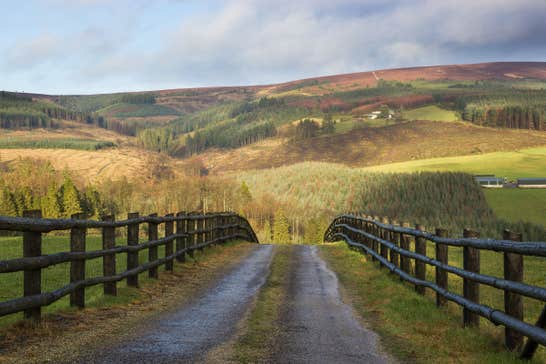 A fenced path leading to the stunning Slieve Bloom Mountains