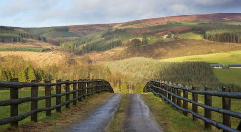 A fenced path leading to the stunning Slieve Bloom Mountains