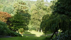 St Columb's Gardens