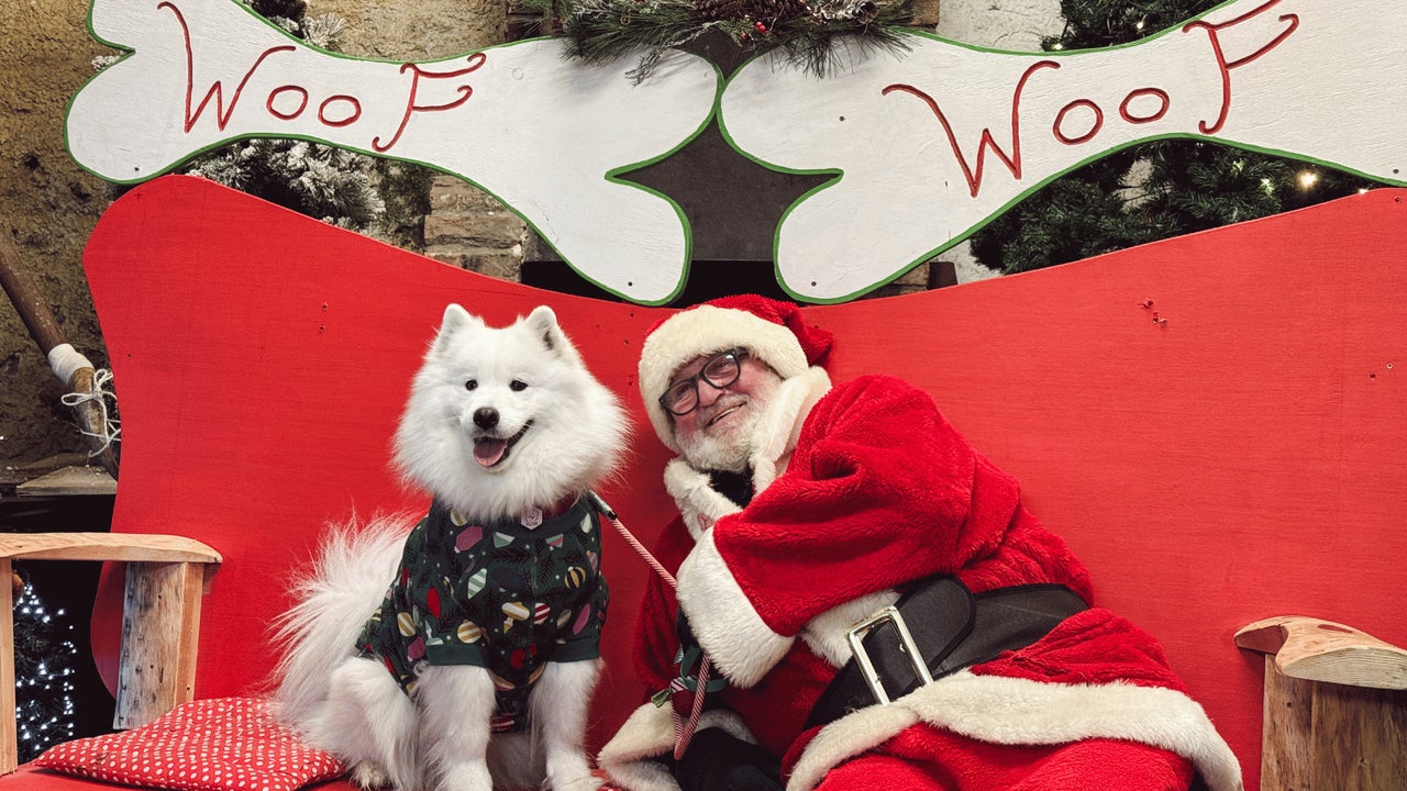 Santa Paws at Newbridge House & Farm