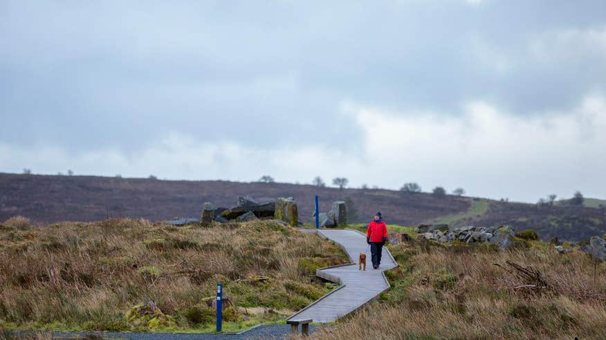 Woman walking a dog in Cavan Burren Park, Cavan
