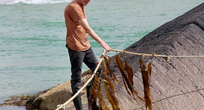 A man harvesting seaweed