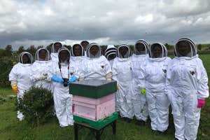 Group of people in bee suits at Leahy Beekeeping Galway