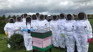 Group of people in bee suits at Leahy Beekeeping Galway