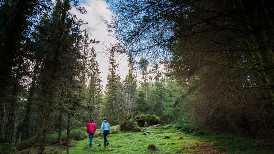 Two people walking through Cavan Burren Park, County Cavan