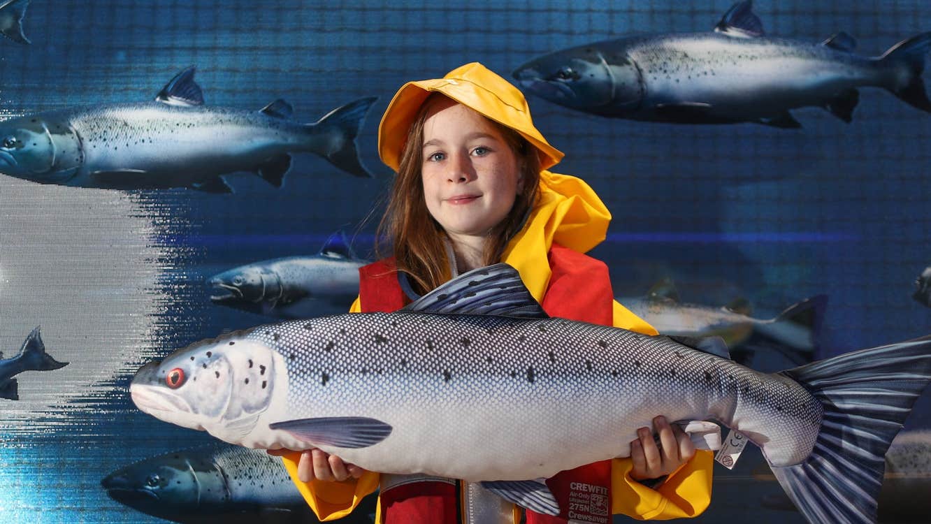Girl in yellow oil skins holding a toy salmon teddy with salmon swimming in the background
