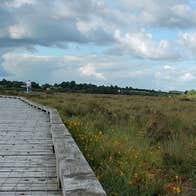 The boardwalk in Clara Bog showing a man walking the path in the distance
