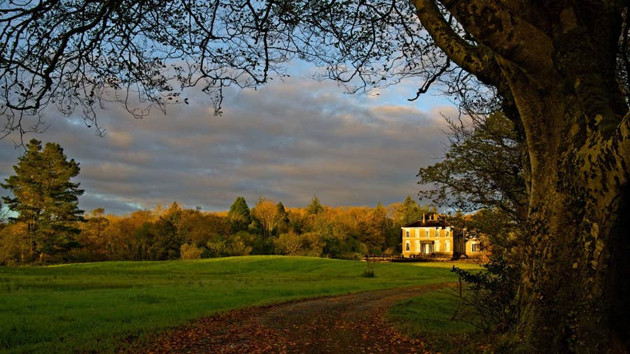 View of field infront of house